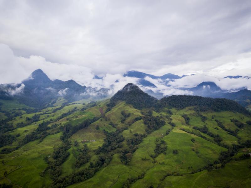 Children can learn about coffee farming and agriculture