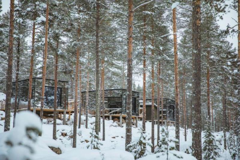 Invisible Forest Lodge 