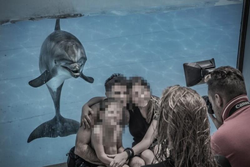 Dolphin_cetaceans_photo_prop_Italy_3__Britta_Jaschinski_for_Born_Free_Britta_Jaschinski_for_Born_Free (Credit: Born Free / Britta Jaschinski)