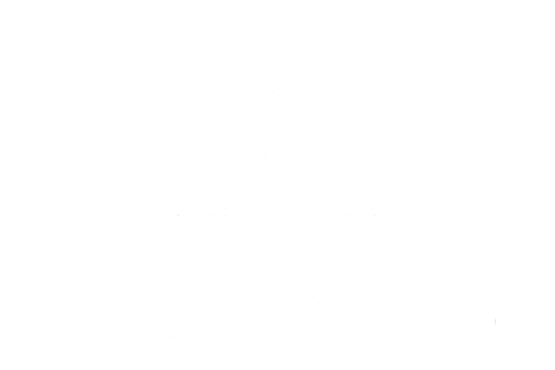TOP OCEAN CRUISE AGENCY