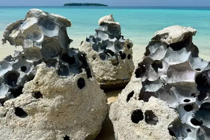 Eco Rocks