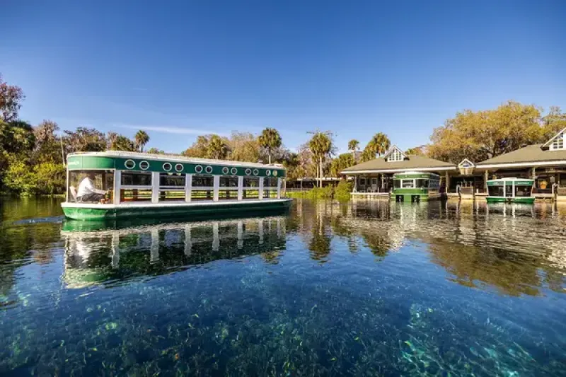 Visitors to Silver Springs State Park can see alligators and manatees on a glass-bottom boat tour