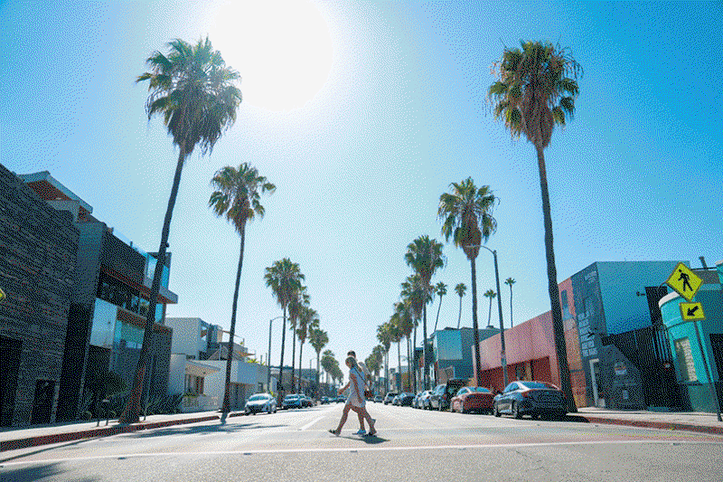Abbot Kinney LA