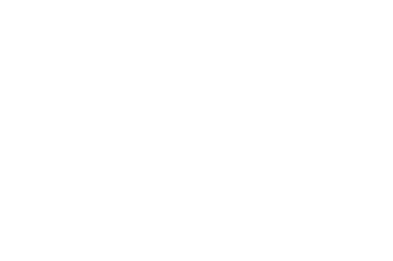 MSC Cruises