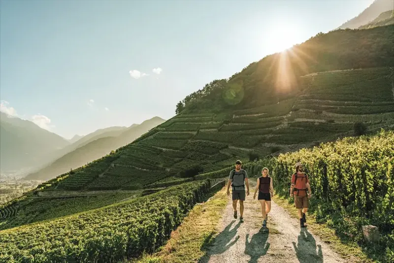 Fully is the capital of the Petite Arvine grape