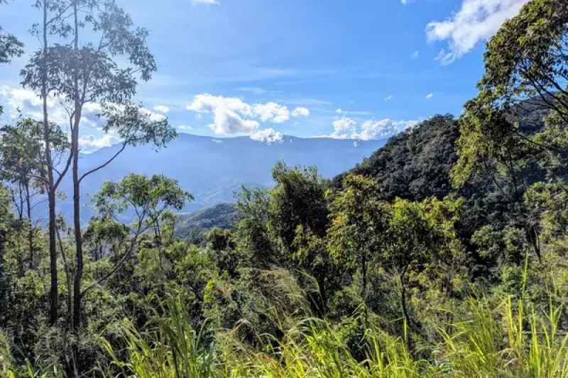 Atherton Tablelands