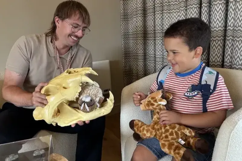 How clients can have a taste of the safari experience right here in the UK