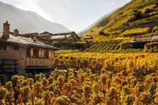 Switzerland - Martigny Combe Wine Region (Switzerland Tourism).jpg