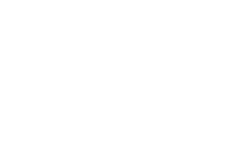TTNG white logo