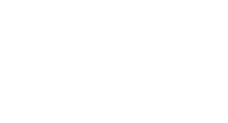 The APT Travel Group