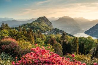 Beautiful summer landsape with pink flowers in foreground and undulating, green mountains in background