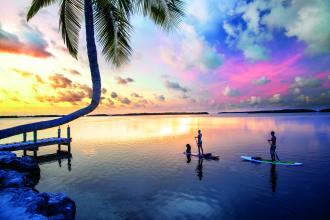 A couple on a paddleboard in the sunset with a palm tree silhouette  