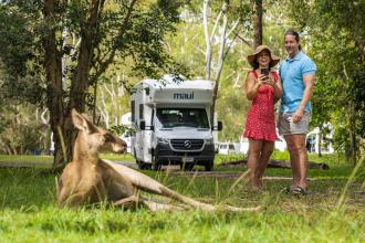 A thl Maui motorhome in Australia with a kangaroo in the foreground 