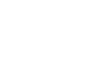 Carrier