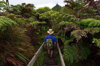 Why St Helena should be on clients’ island destination bucket lists