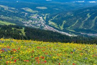 Sun Peaks Resort