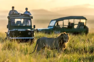 Kuoni offers both small group safaris and tours as well as tailor-made itineraries